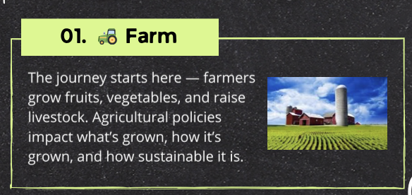 Farm to Table Journey